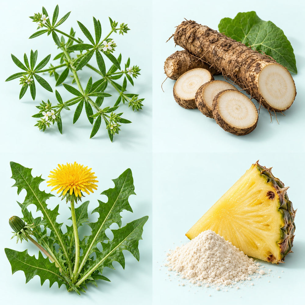 Get to Know Your Botanicals